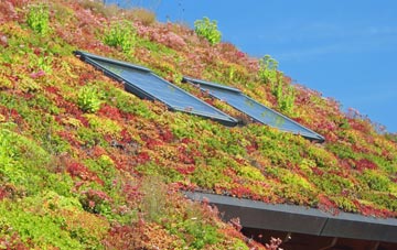 Higher Town living roof systems